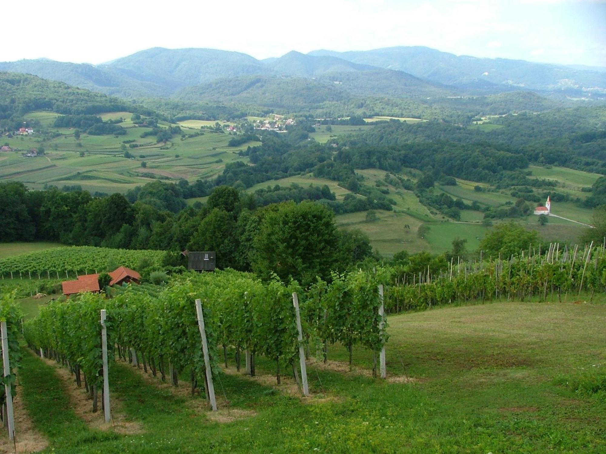Tourist Farm Pri Martinovih Villa Krska Vas ภายนอก รูปภาพ