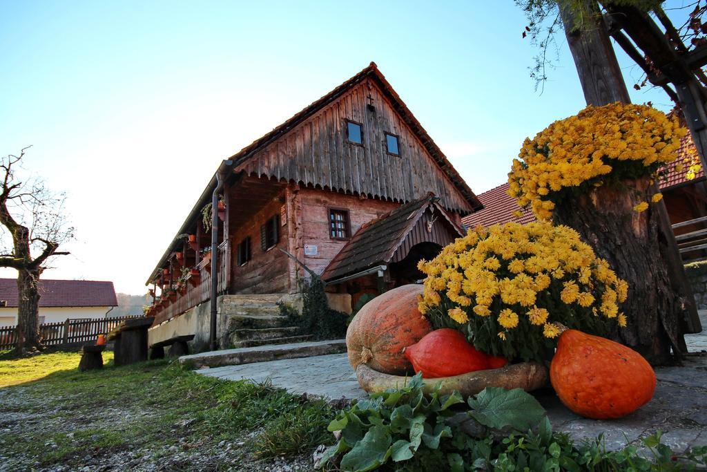 Tourist Farm Pri Martinovih Villa Krska Vas ภายนอก รูปภาพ